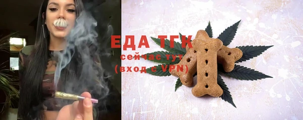спиды Вяземский