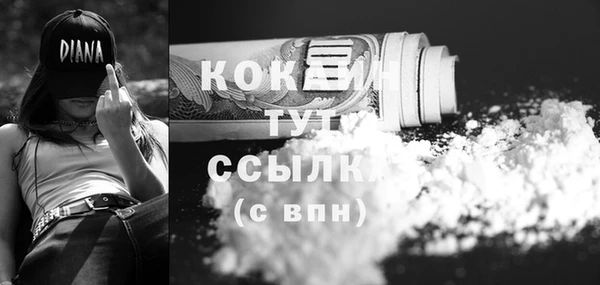 спиды Вяземский