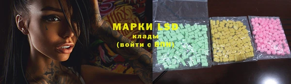 спиды Вяземский