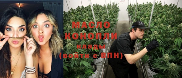 спиды Вяземский