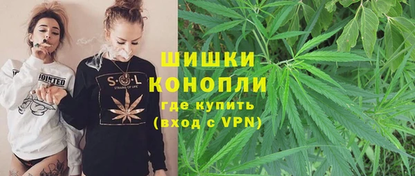 спиды Вяземский