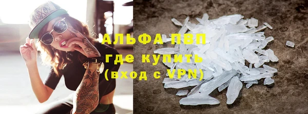 спиды Вяземский