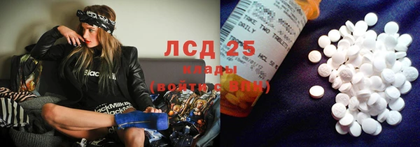 спиды Вяземский